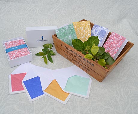 One of the many collections of greeting cards designed by Susie Hetherington for Pemberly Fox