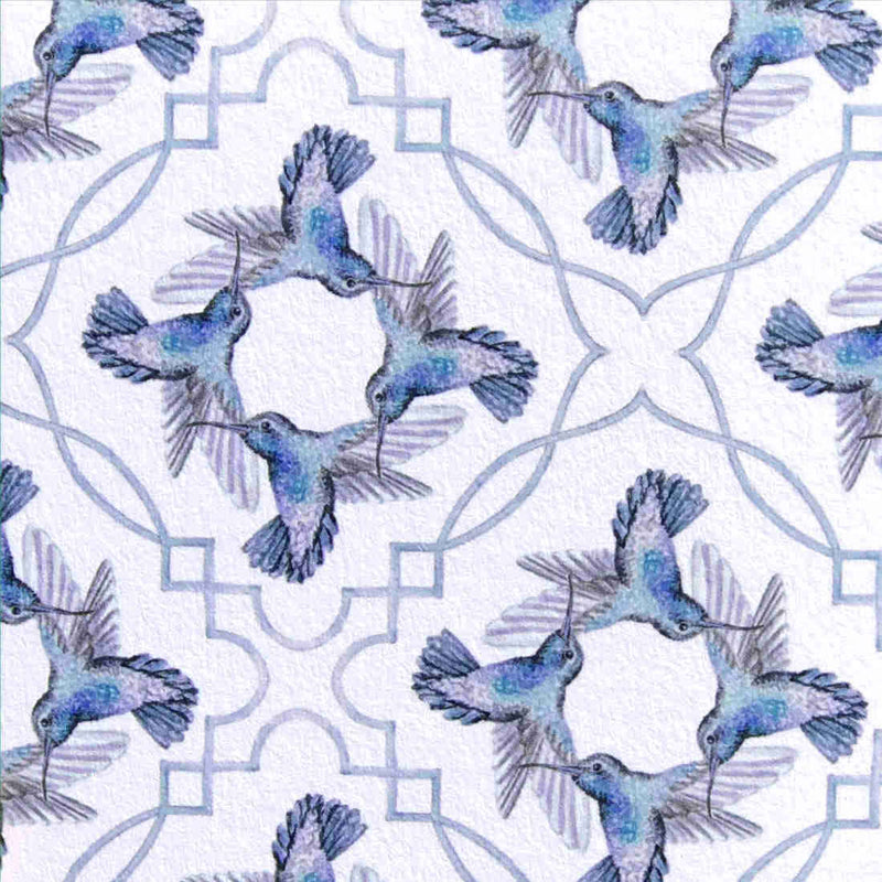 A close up shot of the blue hummingbird circular patter