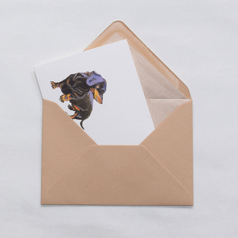 the Dachshund dog greeting cards shown protruding out of the stone tissue lined envelope
