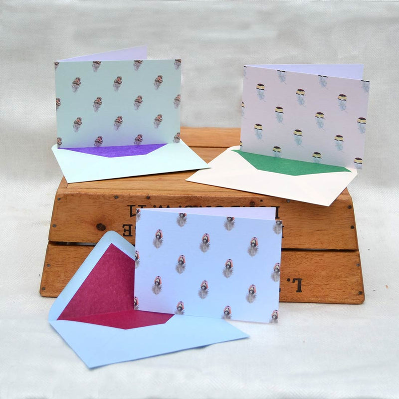 the feather greeting cards pack with matching tissue paper lined envelopes, sold in pemberly fox boxes