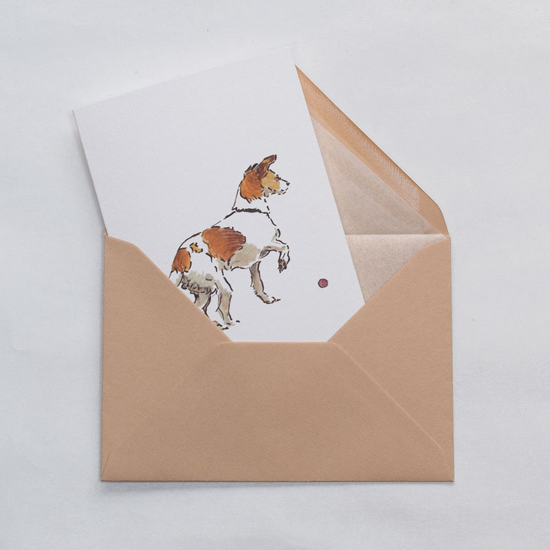 the jack russell dog greeting cards shown protruding out of the stone tissue lined envelope