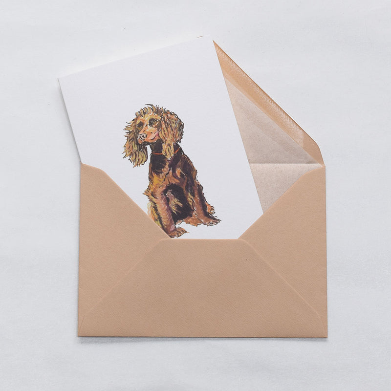the spaniel dog greeting cards shown protruding out of the stone tissue lined envelope